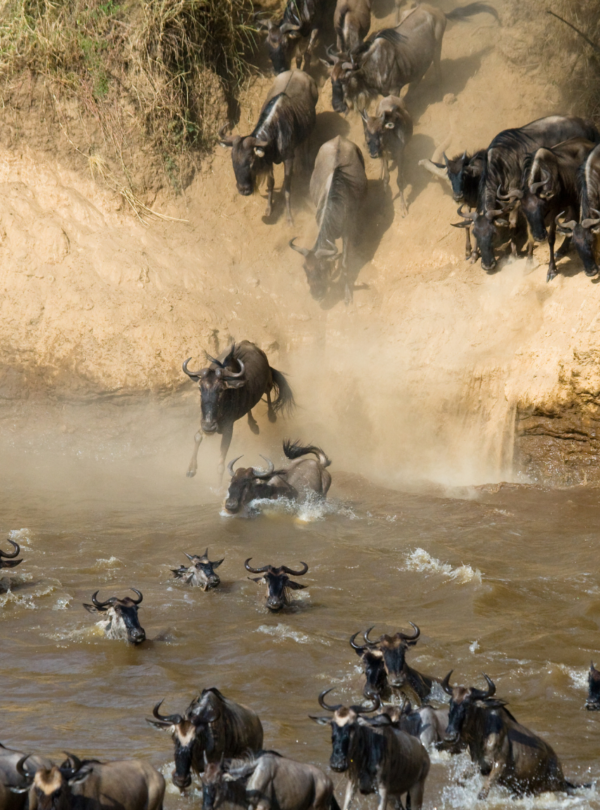 Masai Mara Amboseli safari 5 nights 6 days