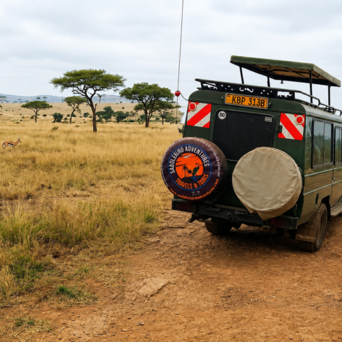 6 Days Tanzania Safari